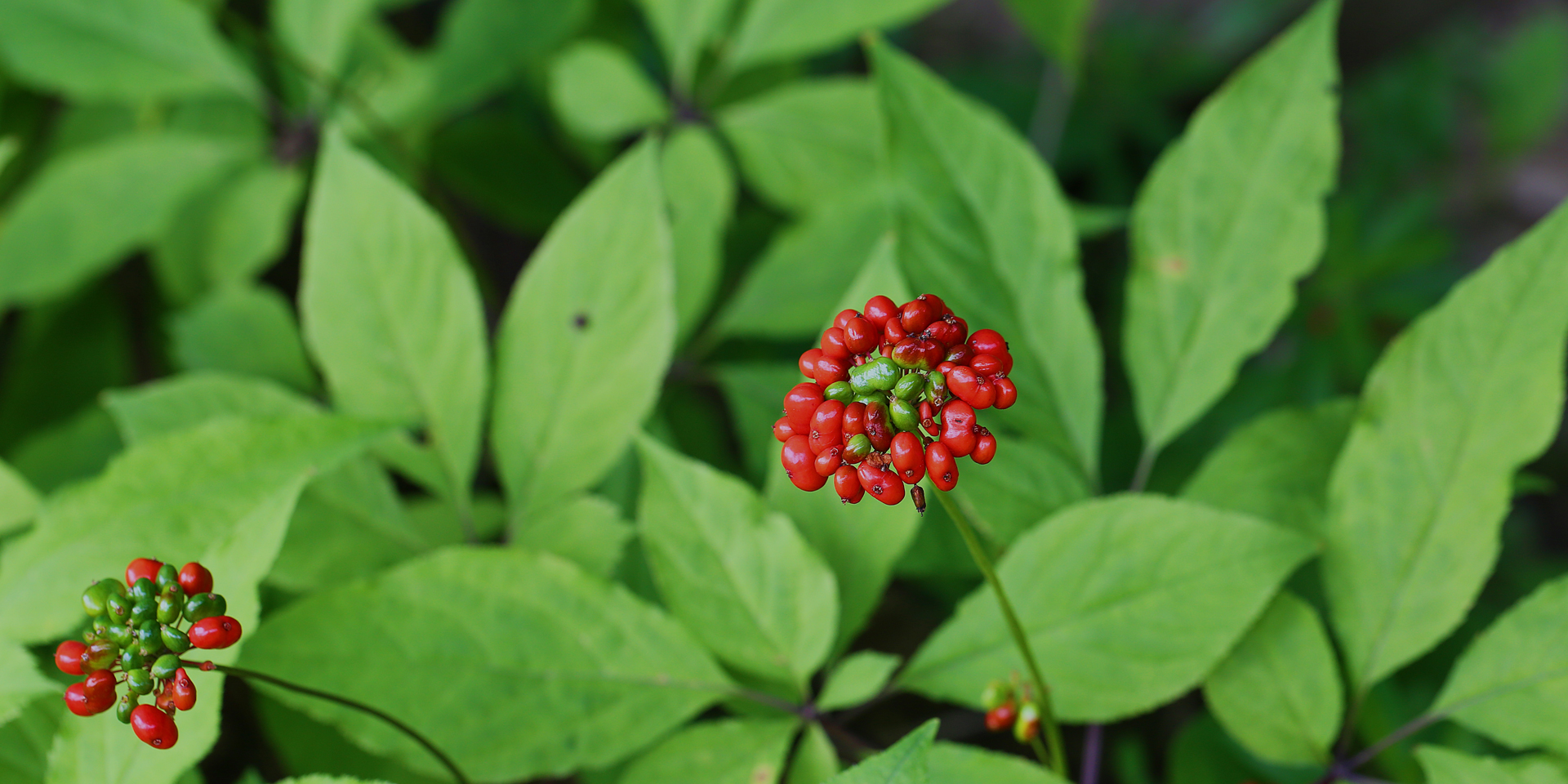 비주얼1