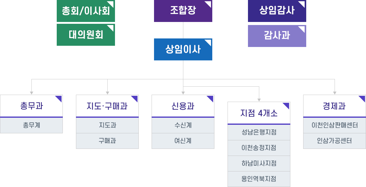 조직도